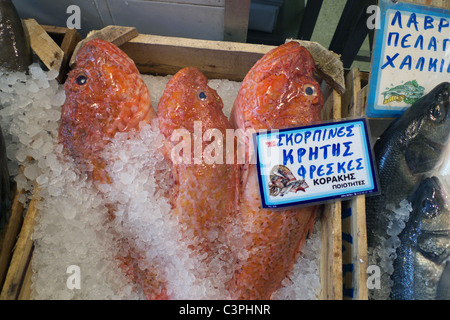 Grecia Atene PLAKA ATHINAS mercato del pesce Foto Stock