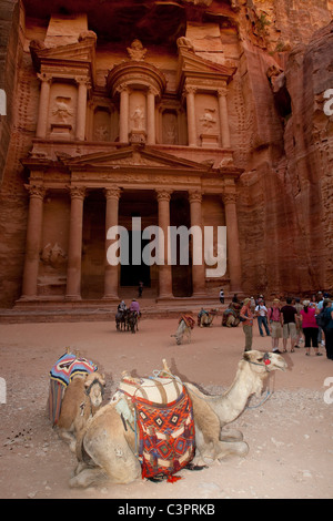 Cammelli resto davanti al tempio o tesoro di Petra, Giordania. Foto Stock