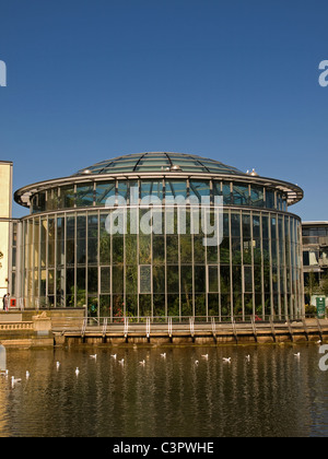 Winter Gardens e Mowbray Park Sunderland Tyne and Wear England Regno Unito Foto Stock