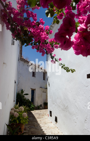 Castellar de la Frontera, Cadice, Andalusia, Spagna Foto Stock