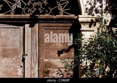 Vecchia porta cretese con ramo olivetree Foto Stock