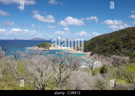 A piedi dal fiume di marea di whiskey Bay, Via Spiaggia stridulo e Baia di picnic. Wilsons Promontory Foto Stock