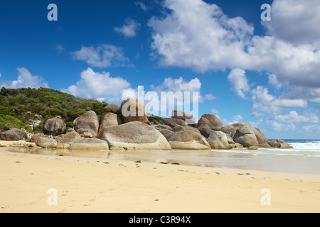 A piedi dal fiume di marea di whiskey Bay, Via Spiaggia stridulo e Baia di picnic. Wilsons Promontory Foto Stock