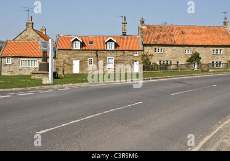 Villaggio Verde a Goathland in North York Moors National Park North Yorkshire Inghilterra Europa Foto Stock