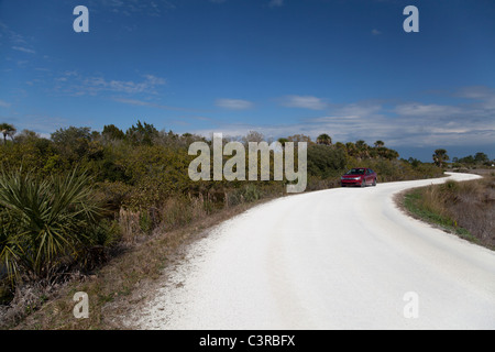 Il punto nero Wildlife Drive, Merritt Island National Wildlife Refuge, Titusville, Florida, Stati Uniti d'America Foto Stock