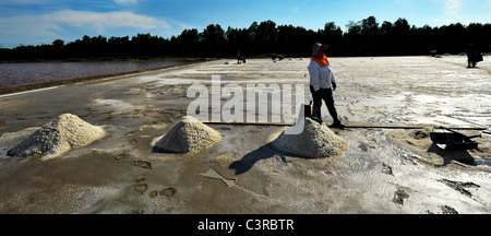 I campi di sale di Samut Sakhon, operai la raccolta del sale, Samut Sakhon , della Thailandia Foto Stock