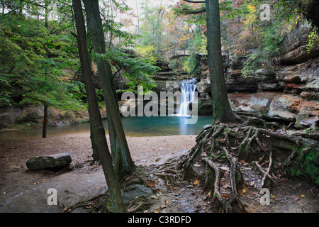 Una tranquilla cascata e piscina raccolta nella panoramica Old Man's Cave del Parco Statale di Central Ohio, Hocking Hills Regione in autunno Foto Stock