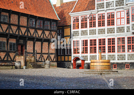 Edifici nella Città Vecchia, Den Gamle By, Arhaus, Danimarca. Un museo a cielo aperto. Foto Stock