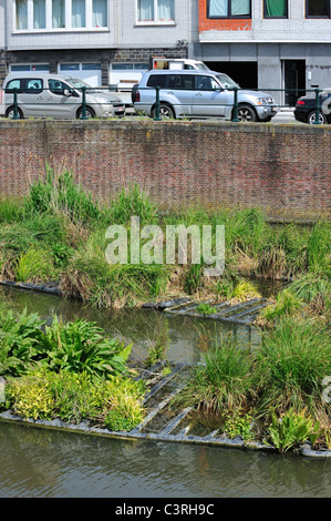 Isola artificiale nel canale per pesci di spawn e luogo di allevamento degli uccelli acquatici, Coupure, Gand, Belgio Foto Stock