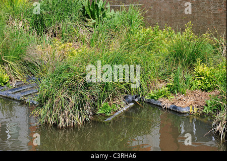 Isola artificiale nel canale per pesci di spawn e luogo di allevamento degli uccelli acquatici, Coupure, Gand, Belgio Foto Stock