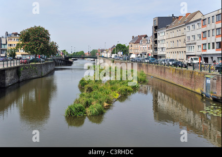 Isola artificiale nel canale per pesci di spawn e luogo di allevamento degli uccelli acquatici, Coupure, Gand, Belgio Foto Stock