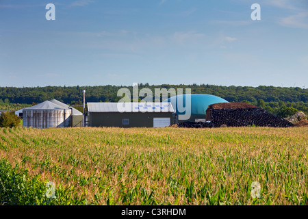 Azienda Agricola a base di insilato di mais digestore anaerobico impianto per la produzione di biocarburanti, Germania Foto Stock