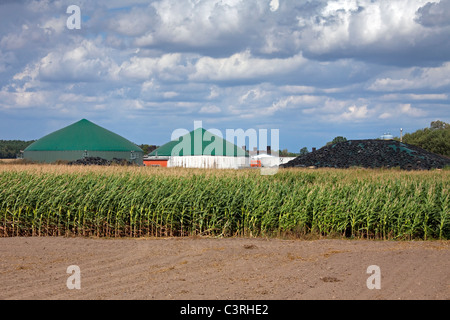 Azienda Agricola a base di insilato di mais digestore anaerobico impianto per la produzione di biocarburanti, Germania Foto Stock