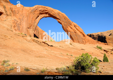 Arco di corona nel sud dello Utah Foto Stock