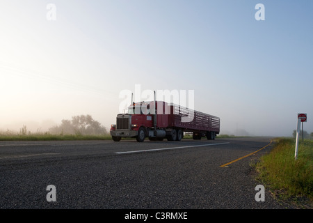 Trattore-rimorchio viaggia sull'Autostrada US 77 tra Raymondville e Kingsville nel sud del Texas USA Foto Stock