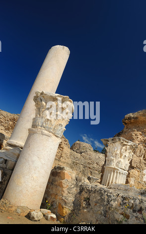 Una bella immagine ad alta risoluzione di Cartagine in Tunisia, in Nord Africa. Mette in evidenza l'esotico splendore delle rovine. Foto Stock