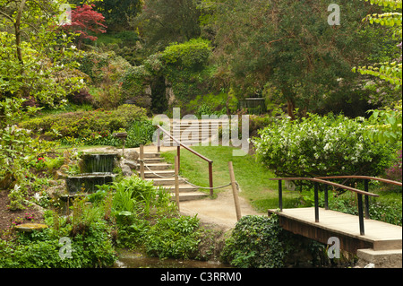 Giardino giapponese in al Powerscourt garden center, Irlanda Foto Stock