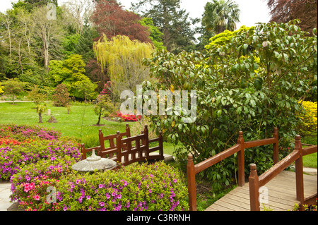 Giardino giapponese in al Powerscourt garden center, Irlanda Foto Stock