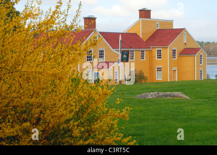 Wentworth-Coolidge Mansion in primavera. Portsmouth, New Hampshire. Coltivazione in fiore. Foto Stock