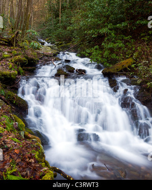 Le inondazioni del fiume giù per la collina nel Smoky Mountains in primavera Foto Stock