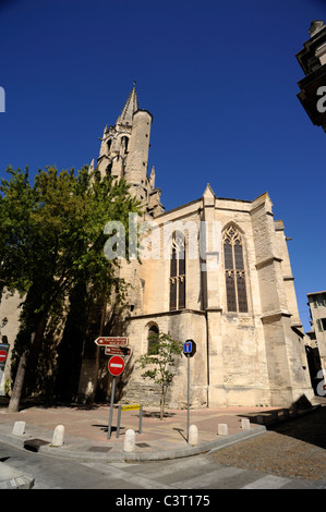 Francia, Provenza, Avignone, chiesa di Saint Pierre Foto Stock