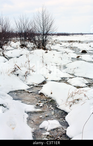 Paesaggio con congelati creek e boccole nella taiga siberiana Foto Stock