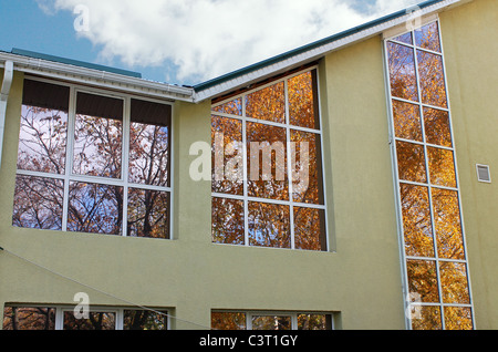 La riflessione di betulla e sky in Windows del cottage Foto Stock