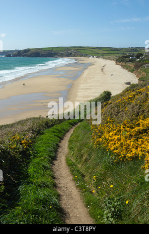 Stretto sentiero costiero di Praa sands beach in Cornwall Regno Unito. Foto Stock