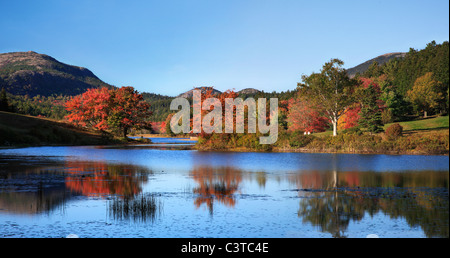 Poco lungo stagno vestita nei colori dell'autunno, Parco Nazionale di Acadia, Maine, Stati Uniti d'America Foto Stock