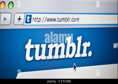 Close up Tumblr come visto sul suo sito web. (Solo uso editoriale: -print, TV, e-book e Redazione sito web). Foto Stock