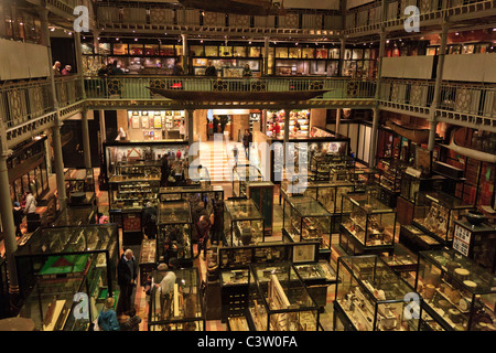 L'interno del museo Pitt Rivers presso l'Oxford University Natural History Museum di Oxford, Inghilterra Foto Stock