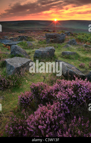 Sun sorge oltre il luminoso di erica viola in fiore a Owler Tor vicino a Hathersage in Peak District of England Foto Stock