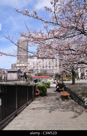 Tsukuda Parco in primavera Foto Stock