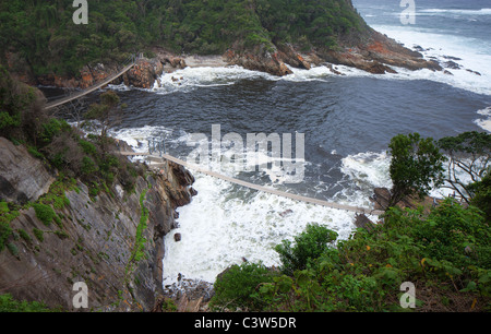 Ponti di sospensione oltre le tempeste foce; Tsitsikamma - Provincia del Capo occidentale - Africa del Sud Foto Stock