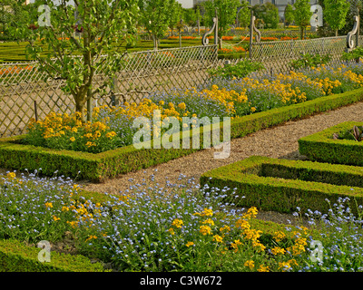 La classica formali giardini di Villandry in Loire Foto Stock