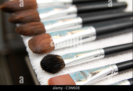 Set di wet make-up pennelli, essiccazione su asciugamano bianco Foto Stock