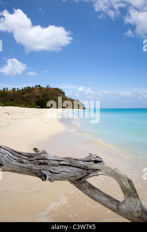 Ffryes Bay Beach in Antigua Foto Stock