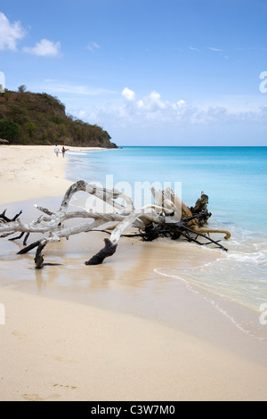 Ffryes Bay Beach in Antigua Foto Stock