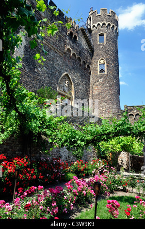 Giardino di Rose nel cortile del castello Burg Rheinstein castello, Germania Foto Stock