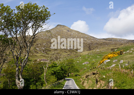 Ben vista heaval Isle of Barra Western Isles della Scozia UK GB Foto Stock