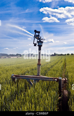 Portatile acqua oscillante jet irrigazione - Francia. Foto Stock