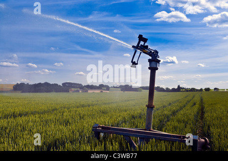 Portatile acqua oscillante jet irrigazione - Francia. Foto Stock