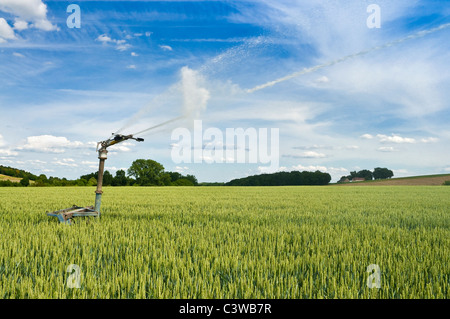 Portatile acqua oscillante jet irrigazione - Francia. Foto Stock