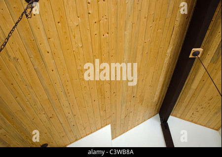 Colorate con blu di pino o di denim, pino è utilizzato in un soffitto. La macchia è portato da mountain pine beetle quando invade un albero. Foto Stock