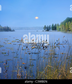 Un po' di nebbia sorgere della luna su ninfee e distante Linea di albero su un tranquillo lago Michigan al crepuscolo, STATI UNITI D'AMERICA Foto Stock