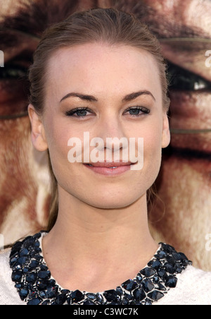 YVONNE STRAHOVSKI la sbornia parte 2. LOS ANGELES PREMIERE. WARNER BROS PICTURES HOLLYWOOD Los Angeles California USA 19 Maggio Foto Stock