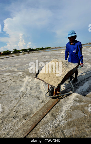 I campi di sale di Samut Sakhon, operai la raccolta del sale, Samut Sakhon , della Thailandia Foto Stock