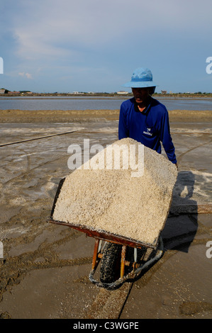 I campi di sale di Samut Sakhon, operai la raccolta del sale, Samut Sakhon , della Thailandia Foto Stock