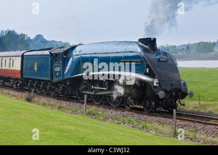 Locomotiva a vapore, 60007 , Sir Nigel Gresley Foto Stock