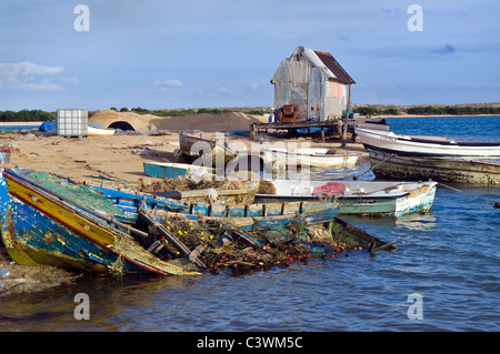 Culatra Island che risiede nel Ria Formosa Natura Park, Algarve, PORTOGALLO Foto Stock